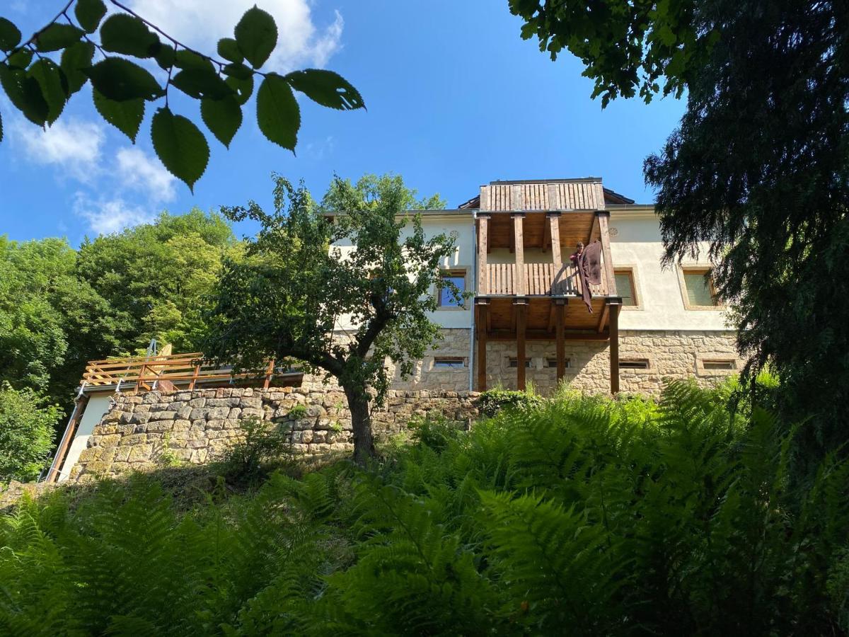 Ferienwohnung Luxusboofe - Ferienhaus am Lilienstein Königstein Exterior foto